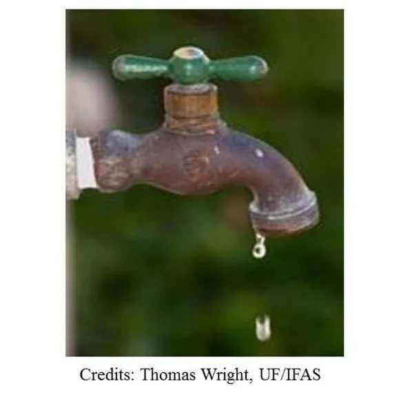 thumbnail for publication: Conservation Pricing for Residential Water Supply